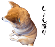 860825886