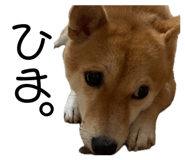 860825887