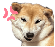 860825888