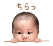 860826681