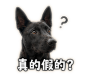 860966580