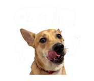 860967350