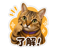 860967746