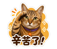 860967751