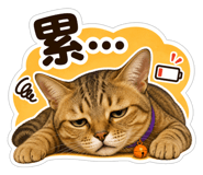 860967766