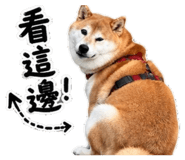 860967890
