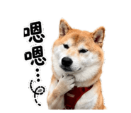 860967894
