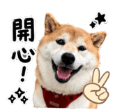 860967897