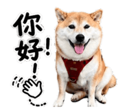 860967898