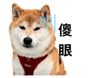 860967905