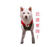 860968655