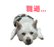 860968656
