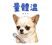 860968840