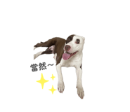 860968984