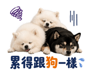 860970750
