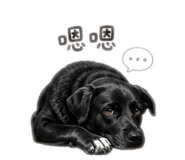 860972273