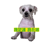 860973254