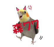860975177