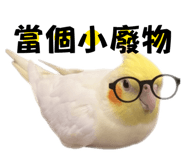 860975188