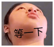 860977919
