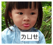 860977934