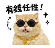 860978034