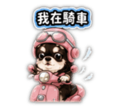 860979031