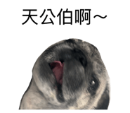 860979146
