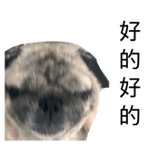 860979149