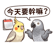 860979174