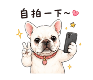 860979495