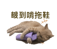 860980050