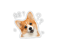 860980879