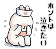 860984637