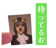 860984841
