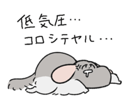 860984857