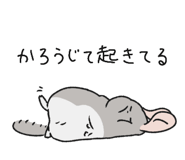 860984858