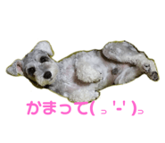 860984996