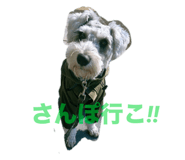 860985003
