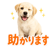 860985839