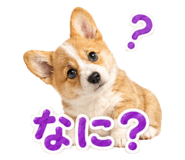 860985865