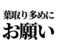 860986681