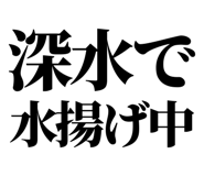 860986682