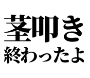 860986684