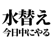 860986688