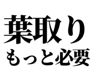 860986704
