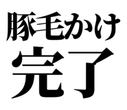 860986791