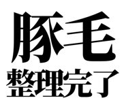 860986794