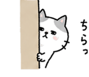 860990458