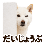 860991727